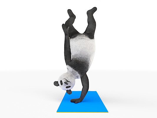 포토 JPG 해외이미지 라이프스타일 웰빙 스포츠 포즈 신체 요가 모션 근육 휴식 건강 숙이기 성인 사람없음 조깅 운동 힘 에너지 아기 밀기 명상 체육관 근육질 체조 노력 에어로빅 고립 운동가 필라테스 해외202004 해외포토 컨셉 사람 생활 춤 몸매 파일형식 이미지허브