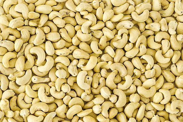 포토 JPG 해외이미지 스튜디오촬영 음식 백그라운드 재료 건조 건강 사람없음 노란색 흰색 맛 인도인 상쾌 알맹이 날것 식용 채식주의자 해외202004 해외포토 외국인 감정 컬러 컨셉 실내 동양인 채식 파일형식 이미지허브