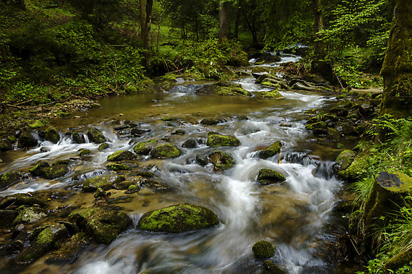 포토 JPG 해외이미지 유럽 길 여행 자국 자연 풍경 사람없음 야외 목재 초록색 물 여름 강 환경 골짜기 폭포 하이킹 흐름 바위 개울 숲 알프스 내추럴 슬로베니아 해외202004 해외포토 자연요소 나무 계절 나라 컬러 컨셉 재료 레저 돌_바위 생태계 파일형식 이미지허브