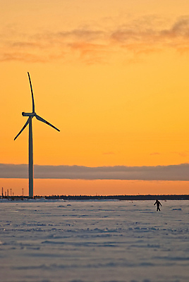 포토 JPG 해외이미지 식물 바다 겨울 바람 사람없음 냉동 얼음 힘 일몰 풍차 해외202004 해외포토 자연요소 계절 날씨 노을 파일형식 이미지허브