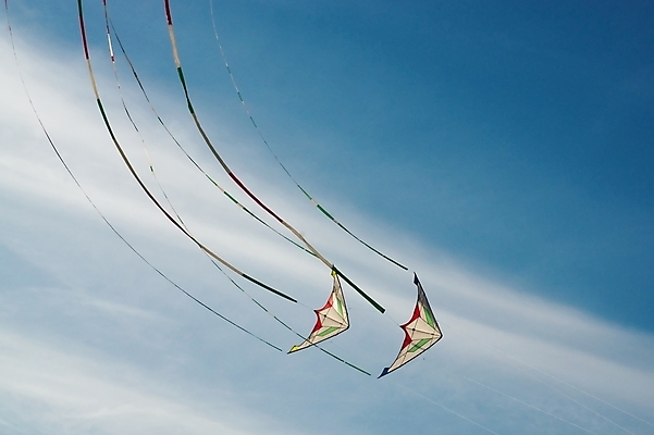 포토 JPG 해외이미지 백그라운드 날개 조류 하늘 바람 사람없음 파란색 컬러풀 자유 연 무료 해외202004 해외포토 자연요소 동물 컬러 컨셉 날씨 놀이용품 파일형식 이미지허브