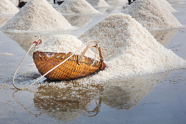 포토 JPG 해외이미지 전통 산업 아시아 음식 바다 밭 재료 태국 자연 건조 사람없음 야외 물 여름 농장 반사 쌓기 맑음 장비 흰색 연못 신선 플랫 크리스탈 향신료 에코 날것 소금 직사각형 흙더미 줄서기 짠맛 해외202004 해외포토 자연요소 도형 계절 나라 컬러 농업 모션 날씨 환경 흙 맛 광석 생태계 향미료 파일형식 더미 이미지허브