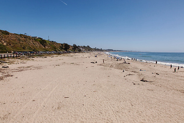 포토 JPG 해외이미지 공원 모래 바다 여행 자연 조류 풍경 사람없음 야외 물 환경 항구 만 캘리포니아 태평양 해외202004 해외포토 자연요소 동물 공공시설 교통시설 미국 생태계 파일형식 이미지허브