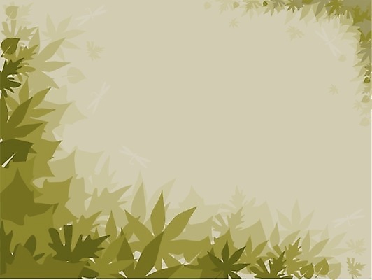 포토 JPG 해외이미지 백그라운드 단풍 잎 벽지 사람없음 빨간색 초록색 갈색 노란색 안개 가을 신용카드 9월 11월 비네팅 10월 해외202004 해외포토 식물 계절 컬러 날씨 촬영기법 금융 날짜 파일형식 이미지허브