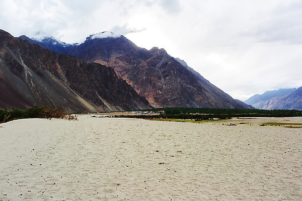 포토 JPG 해외이미지 자연 산 풍경 사람없음 야외 내추럴 해외202004 해외포토 생태계 파일형식 이미지허브