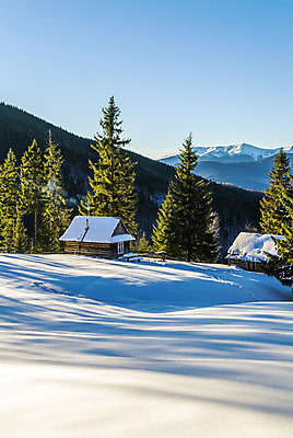 포토 JPG 해외이미지 나무 계절 길 여행 크리스마스 겨울 자국 자연 하늘 산 주택 풍경 사람없음 야외 건물 목재 파란색 태양 하이킹 추위 흰색 시골 소나무 숲 오두막 언덕 시골집 서리 장면 선로 눈내림 가문비나무 해외202004 해외포토 자연요소 식물 건축물 기념일 컬러 재료 레저 눈_날씨 생태계 파일형식 이미지허브