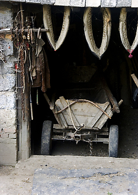 포토 JPG 해외이미지 나무 구름 계절 전통문화 밭 농업 하늘 그림자 옥수수 풍경 사람없음 초록색 여름 파란색 빛 농장 봄 줄무늬 가을 농촌 구멍 연결 작음 땅 심플 조경 일렬 시에나 평야 호밀 수평선 해외202004 해외포토 자연요소 식물 전통 산업 문화 컬러 무늬 자연 곡류 시골 크기 파일형식 이미지허브