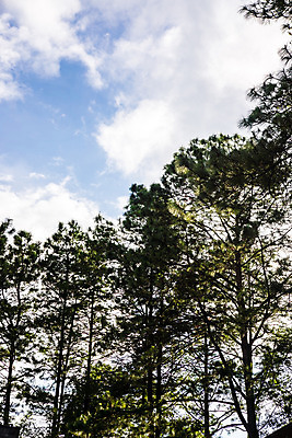 포토 JPG 해외이미지 나무 식물 구름 지구 호수 백그라운드 잎 밭 자연 벽지 하늘 산 풍경 사람없음 야외 초록색 물 여름 파란색 강 노란색 정원 맑음 신선 숲 작음 언덕 해외202004 해외포토 자연요소 계절 컬러 농업 날씨 크기 생태계 파일형식 이미지허브