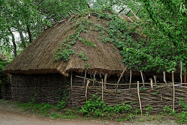포토 JPG 해외이미지 전통 건축양식 주택 풍경 사람없음 목재 초록색 여름 울타리 농장 마을 봄 시골 오픈 거친 역사 농부 창고 박물관 복고 통나무 헛간 외양간 볏집 수목 옛날 우크라이나 해외202004 해외포토 나무 직업 계절 건축 유럽 컬러 농업 재료 건물 담장 저장고 파일형식 이미지허브