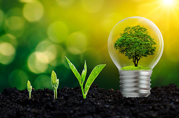 포토 JPG 해외이미지 나무 식물 백그라운드 컨셉 잎 일러스트 자연 유리 실내 씨앗 사람없음 초록색 파란색 빛 새싹 힘 흙 재활용 에너지 성장 램프 신선 보호 심볼 사인 에코 유기농 내추럴 혁명 모종 묘목 해외202004 해외포토 웰빙 컬러 재질 조명 내부 환경 친환경 생태계 파일형식 이미지허브