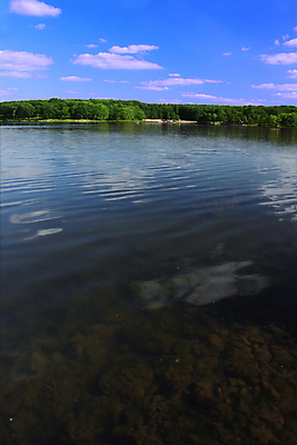 포토 JPG 해외이미지 나무 공원 호수 여행 자연 풍경 사람없음 물 환경 미국 연못 저녁 자르기 내추럴 해외202004 해외포토 자연요소 식물 공공시설 북아메리카 모션 야간 생태계 파일형식 이미지허브