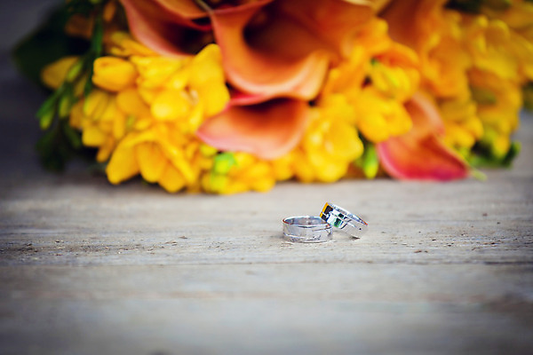 포토 JPG 해외이미지 전통 커플 꽃 결혼 2 관계 결혼식 함께함 선물 사랑 사람없음 장식 빛 장미 유행 금속 신혼여행 축하 반지 쌍 황금 은색 보석 심볼 약속 다이아몬드 약혼 제안 해외202004 해외포토 식물 감정 컬러 컨셉 장신구 재질 이벤트 광석 파일형식 이미지허브