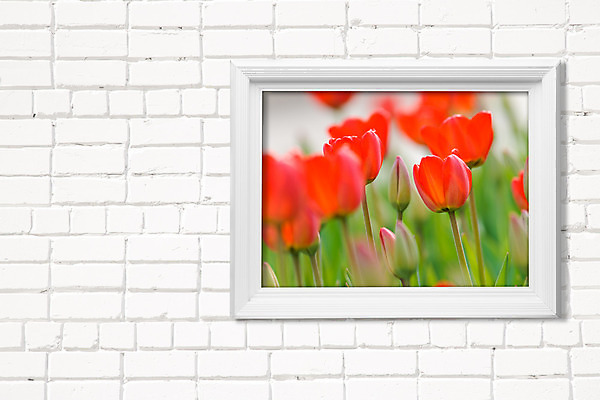 포토 JPG 해외이미지 식물 디자인 꽃 벽 백그라운드 컨셉 패턴 건축양식 자연 하늘 표면 벽돌 새로움 주택 프레임 미술 사람없음 빨간색 초록색 파란색 태양 봄 튤립 덮개 흰색 군중 건축가 그림 질감 스타일 많음 해외202004 해외포토 자연요소 직업 계절 건축 컬러 무늬 문화예술 사람 건물 뚜껑 생태계 파일형식 이미지허브