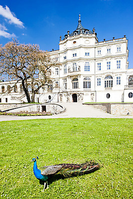 포토 JPG 해외이미지 동물 외관 유럽 여행 건축양식 조류 사람없음 야외 건물 정원 궁전 세계여행 역사 공작 체코 동유럽 보헤미아 옛날 해외202004 해외포토 건축물 건축 나라 고건축 세계 파일형식 이미지허브