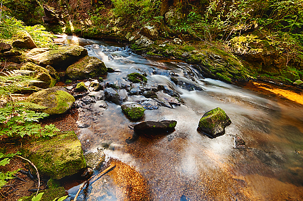 포토 JPG 해외이미지 나무 식물 계절 공원 잎 모션 자연 풍경 사람없음 야외 물 여름 빛 강 달리기 햇빛 태양 평화 환경 맑음 침묵 봄 폭포 젖음 흐름 바위 시골 개울 떨어짐 숲 크리스탈 속도 내추럴 해외202004 해외포토 자연요소 공공시설 컨셉 날씨 소리 돌_바위 광석 생태계 파일형식 이미지허브