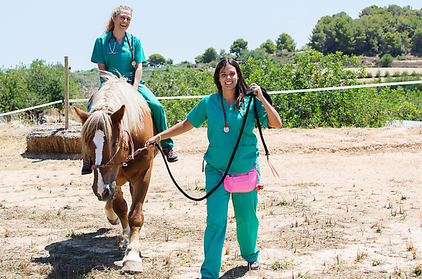 포토 JPG 해외이미지 동물 백인 직업 여자 2 밭 포유류 청진기 사람 두명 약 농장 목장 고통 시험 의사 시골 소 승마 군중 승차 확인 문서 히스패닉 외과 수의사 돌봄 해외202004 해외포토 서양인 교육 감정 스포츠 농업 의학 의료기기 모션 병원 의료진 파일형식 이미지허브