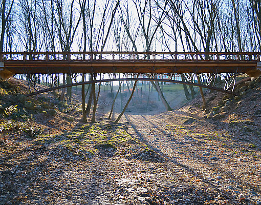 포토 JPG 해외이미지 나무 식물 단풍 잎 자연 아침 풍경 사람없음 야외 초록색 컬러풀 햇빛 계단 성장 가을 소나무 황무지 숲 언덕 뿌리 전나무 단계 보호구역 양치류 우크라이나 해외202004 해외포토 주간 계절 유럽 컬러 태양 생태계 구역 파일형식 이미지허브