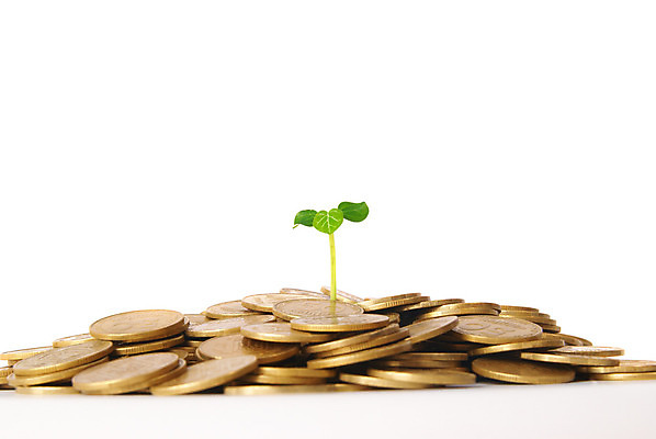 포토 JPG 해외이미지 나무 식물 꽃 유럽 백그라운드 컨셉 잎 돈 비즈니스 자연 성공 새로움 주택 아이디어 씨앗 사람없음 초록색 금융 경제 금속 동전 저축 에너지 유로 성장 흰색 나뭇가지 시장 재산 황금 주식 심볼 투자 흙더미 진행 대출 개발 고립 관심 돌봄 업그레이드 헬프 많음 해외202004 해외포토 나라 컬러 모션 재질 건물 흙 도움 생태계 파일형식 더미 이미지허브