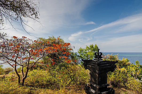 포토 JPG 해외이미지 구름 계절 꽃 파도 바다 여행 자연 하늘 호텔 날씨 휴가 휴식 풍경 사람없음 물 여름 파란색 컬러풀 야자수 햇빛 태양 맑음 사진촬영 뜨거움 보트 마법 수평선 해외202004 해외포토 자연요소 나무 식물 컬러 컨셉 배_교통 숙소 촬영 생태계 파일형식 이미지허브