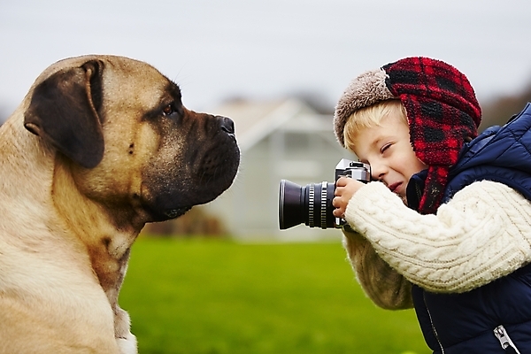 포토 JPG 해외이미지 동물 행복 어린이 장난 놀이 함께함 기술 창조 한명 사람 소년 반려동물 카메라 정원 사진촬영 우정 기쁨 주름 개 큼 발사 사진사 복고 거인 송곳니 기르기 동반자 복종 신앙심 해외202004 해외포토 1 남자 감정 컨셉 포유류 친구 전자제품 촬영 치아 크기 작가 돌봄 파일형식 이미지허브