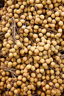 포토 JPG 해외이미지 음식 백그라운드 컨셉 다이어트 과일 태국 자연 건강 사람없음 갈색 노란색 신선 그룹 달콤 맛 먹기 오브젝트 보따리 유기농 내추럴 이국적 채식주의자 해외202004 해외포토 웰빙 아시아 컬러 모션 생태계 채식 파일형식 이미지허브