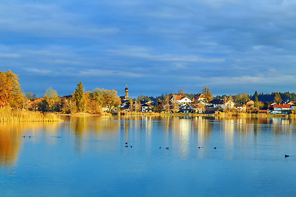 포토 JPG 해외이미지 나무 유럽 호수 겨울 건축양식 독일 풍경 사람없음 야외 건물 물 반사 교회 맑음 일몰 수도원 수녀원 회랑 바이에른 해외202004 해외포토 자연요소 식물 건축물 계절 건축 나라 종교건축 날씨 노을 복도 파일형식 이미지허브