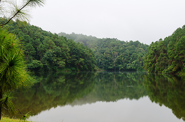 포토 JPG 해외이미지 나무 구름 공원 호수 여행 겨울 태국 자연 표면 아침 풍경 사람없음 야외 초록색 물 강 반사 평화 침묵 새벽 안개 신선 소나무 숲 순수 장면 석호 내추럴 전국 해외202004 해외포토 주간 자연요소 식물 계절 공공시설 아시아 컬러 컨셉 날씨 소리 생태계 파일형식 이미지허브