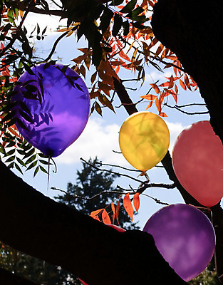 포토 JPG 해외이미지 나무 구름 행복 어린이 잎 하늘 휴가 사람없음 컬러풀 파티 가을 축하 생일 기회 풍선 해외202004 해외포토 자연요소 식물 계절 기념일 감정 컬러 컨셉 사람 이벤트 파일형식 이미지허브