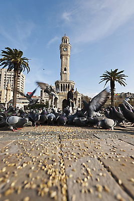 포토 JPG 해외이미지 건축물 별 전통문화 시계 여행 중동 건축양식 하늘 휴가 사람없음 야외 건물 장식 파란색 관광지 숫자 여행객 탑 기댐 골동품 도시 시간 역사 초승달 지중해 심볼 출장 대리석 칠면조 천연기념물 구식 명승지 웅장함 해외202004 해외포토 자연요소 문자 전통 건축 나라 문화 바다 컬러 비즈니스 재료 모션 조류 사람 풍경 달 파일형식 이미지허브