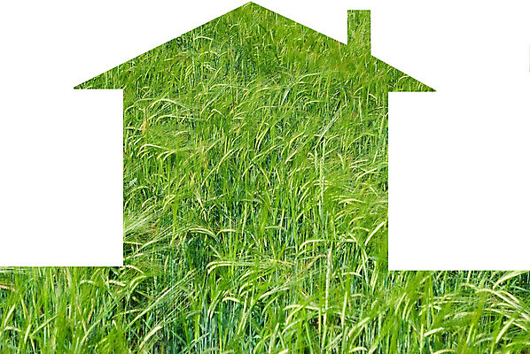 포토 JPG 해외이미지 모양 모델 외관 백그라운드 컨셉 비즈니스 건축양식 자연 주택 프레임 잔디 사람없음 초록색 세일 정원 저축 재산 계획 건축가 맨션 심볼 사인 에코 투자 결제 지역 대여 대출 빚 생태학 진짜 해외202004 해외포토 식물 직업 교육 건축 컬러 건물 금융 경제 환경 생태계 파일형식 이미지허브