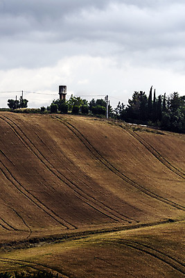 포토 JPG 해외이미지 식물 전통 계절 산업 도로 선 음식 농업 자연 날씨 휴식 사람없음 야외 세로 물 노란색 평화 봄 에너지 자유 수확 성장 시골 시간 업무 작음 시리얼 밀 순수 묘사 언덕 순환 귀 부드러움 자원 루트 영양분 해외202004 해외포토 자연요소 길 컬러 컨셉 교통시설 모션 곡류 신체부위 작업 감각 크기 생태계 파일형식 이미지허브