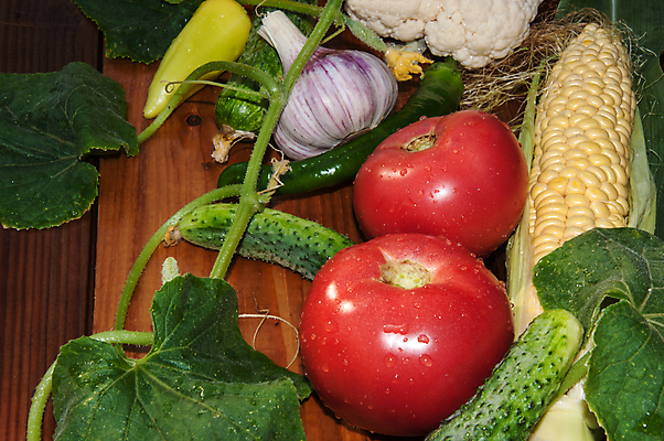 포토 JPG 해외이미지 식물 접시 음식 잎 농업 다이어트 토마토 채소 재료 자연 오이 건강 마늘 요리 사람없음 빨간색 초록색 컬러풀 식사 저녁식사 샐러드 수확 흰색 신선 시장 맛 먹기 유기농 날것 후추 내추럴 점심식사 숙성 채식주의자 해외202004 해외포토 식기 웰빙 산업 컬러 컨셉 모션 향신료 생태계 채식 파일형식 이미지허브