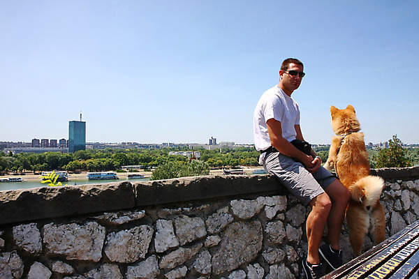 포토 JPG 해외이미지 동물 공원 얼굴 신체 한명 반려동물 강 일본 힘 용기 자신감 개 강아지 위험 큼 근육질 고체 기르기 지능 힘찬 해외202004 해외포토 1 그릇 공공시설 감정 아시아 컨셉 포유류 근육 사람 신체부위 크기 몸매 돌봄 파일형식 이미지허브
