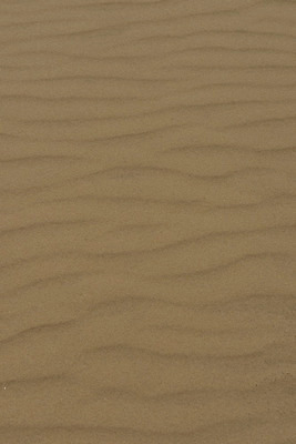 포토 JPG 해외이미지 선 모래 파도 백그라운드 패턴 자연 추상 덴마크 그림자 사람없음 모래사장 갈색 맑음 사막 황금 모래언덕 묘사 부식 질감 사하라 내추럴 스칸디나비아 해외202004 해외포토 바다 컬러 무늬 아프리카 날씨 북유럽 언덕 생태계 파일형식 이미지허브