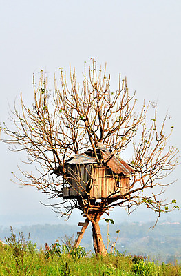 포토 JPG 해외이미지 나무 디자인 백그라운드 컨셉 잎 건축양식 창문 자연 지붕 추상 주택 미술 풍경 사람없음 야외 건물 목재 장식 초록색 문 계단 정원 맑음 추위 수확 나뭇가지 숲 오르기 목공예 공상 리빙 옛날 해외202004 해외포토 식물 건축물 건축 컬러 무늬 농업 재료 모션 날씨 문화예술 공예 생태계 파일형식 이미지허브
