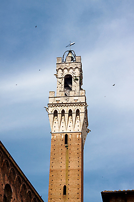 포토 JPG 해외이미지 벽 건축양식 창문 하늘 사람없음 건물 세로 파란색 갈색 계단 탑 이탈리아 흰색 도시 수비 역사 타운 시에나 옛날 토스카나 해외202004 해외포토 건축물 건축 유럽 컬러 모션 파일형식 이미지허브