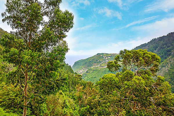 포토 JPG 해외이미지 응시 길 바다 섬 여행 자국 자연 풍경 사람없음 초록색 물 마을 와인 산책 하이킹 숲 오솔길 포르투갈 언덕 북쪽 타운 계단식 대서양 비용 해외202004 해외포토 자연요소 시선 유럽 컬러 레저 휴식 주류 경제 도시 방향 생태계 파일형식 이미지허브