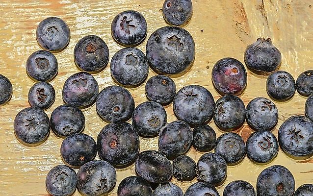 포토 JPG 해외이미지 열매 음식 백그라운드 잎 농업 다이어트 과일 자연 탁자 디저트 건강 사람없음 목재 초록색 파란색 주방 흰색 신선 그룹 사발 달콤 맛 아침식사 약초 상품 숲 오브젝트 유기농 블루베리 날것 내추럴 숙성 월귤 채식주의자 해외202004 해외포토 나무 식물 웰빙 산업 컬러 가구 컨셉 재료 식사 풀_식물 사기그릇 생태계 채식 파일형식 이미지허브