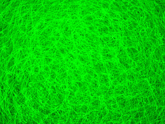 포토 JPG 해외이미지 모양 디자인 백그라운드 패턴 벽지 추상 사람없음 초록색 질감 해외202004 해외포토 컬러 무늬 파일형식 이미지허브