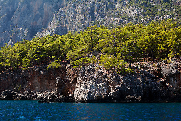포토 JPG 해외이미지 나무 식물 바다 자연 하늘 산 풍경 사람없음 야외 가로 초록색 파란색 햇빛 맑음 회색 바위 숲 지중해 언덕 산등성이 칠면조 해외202004 해외포토 컬러 조류 날씨 태양 돌_바위 생태계 파일형식 이미지허브