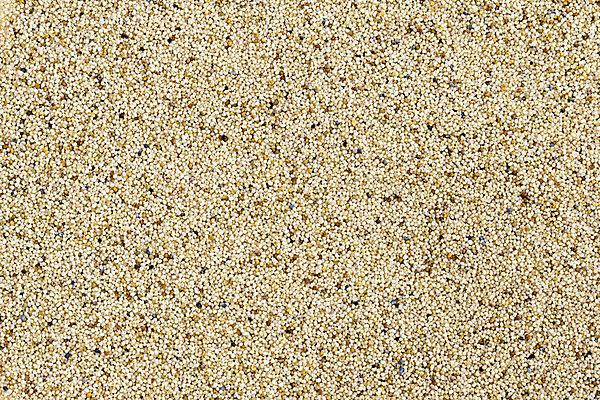 포토 JPG 해외이미지 음식 백그라운드 재료 건조 요리 사람없음 갈색 흰색 조미료 맛 향신료 날것 채식주의자 해외202004 해외포토 컬러 컨셉 채식 향미료 파일형식 이미지허브