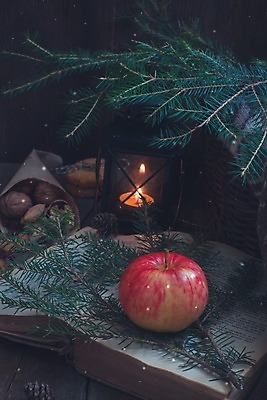 포토 JPG 해외이미지 나무 식물 교육 컨셉 크리스마스 겨울 학교 자연 산 따뜻함 사랑 미술 사람없음 목재 책 초록색 빛 갈색 우주 공백 수확 나뭇가지 등불 오픈 도서관 사과 스웨터 심볼 읽기 스위스 묘사 에코 시골집 복고 문학 페이지 시트 양모 모종 스칸디나비아 옛날 해외202004 해외포토 계절 기념일 감정 유럽 컬러 상의 농업 과일 재료 모션 문화예술 조명 주택 환경 직물 생태계 파일형식 이미지허브