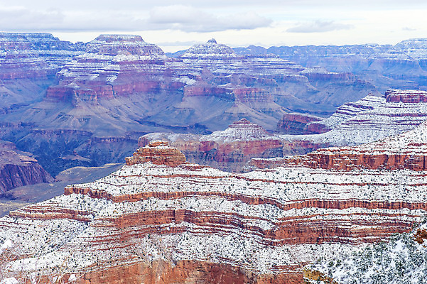 포토 JPG 해외이미지 나무 응시 공원 여행 겨울 자연 산 풍경 사람없음 야외 여행객 골짜기 냉동 미국 하이킹 추위 흰색 소나무 위험 12월 부식 그림 암초 애리조나 내추럴 깊이 전국 지질학 콜로라도 눈내림 해외202004 해외포토 식물 시선 계절 공공시설 교육 컬러 컨셉 북아메리카 레저 눈_날씨 사람 날짜 생태계 파일형식 이미지허브