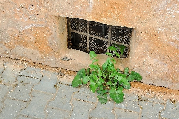 포토 JPG 해외이미지 모양 유럽 벽 백그라운드 건축양식 창문 아침 벽돌 거리 주택 자물쇠 안전 사람없음 건물 목재 여름 컬러풀 문 와인 맑음 어둠 봄 활발 회색 수확 바위 흰색 시골 도시 보호 묘사 질감 잠금 보안 지하 타운 내추럴 그런지 옛날 지하실 해외202004 해외포토 주간 나무 건축물 계절 건축 나라 컬러 컨셉 농업 재료 날씨 주류 돌_바위 파일형식 이미지허브