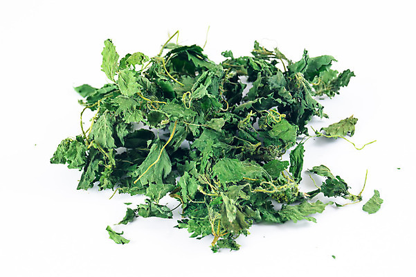 포토 JPG 해외이미지 식물 꽃잎 꽃 분홍색 백그라운드 꽃무늬 오렌지 자연 건조 건강 사람없음 야외 초록색 건강관리 정원 보라색 센터 닫기 정상 허브 묘사 유기농 원예 꽃가루 동쪽 고슴도치 보충 면역력 영원 치유 해외202004 해외포토 웰빙 컬러 무늬 과일 포유류 모션 관리 취미 가루 방향 생태계 파일형식 이미지허브