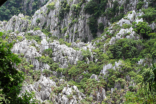 포토 JPG 해외이미지 나무 구름 아시아 스포츠 섬 여행 오렌지 건축양식 자연 하늘 산 주택 국립공원 풍경 사람없음 빨간색 초록색 물 파란색 강 장미 골짜기 일몰 흰색 시골 만 동굴 저녁 숲 언덕 천국 칠면조 석회암 해외202004 해외포토 자연요소 식물 공원 건축 꽃 나라 컬러 과일 조류 건물 노을 암석 야간 생태계 파일형식 이미지허브
