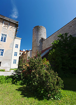 포토 JPG 해외이미지 외관 유럽 문화 여행 건축양식 하늘 거리 주택 풍경 사람없음 야외 건물 여름 도시풍경 탑 도시 중세 역사 도심 장면 타운 동쪽 에스토니아 옛날 해외202004 해외포토 건축물 계절 건축 나라 방향 파일형식 이미지허브