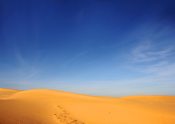 포토 JPG 해외이미지 구름 아시아 모래 여행 백그라운드 오렌지 자연 하늘 건조 파노라마 이집트 풍경 사람없음 야외 가로 파란색 컬러풀 노란색 사막 농촌 황무지 황금 모래언덕 질감 베트남 먼지 모로코 사하라 수평선 해외202004 해외포토 자연요소 나라 컬러 과일 아프리카 촬영기법 동남아시아 시골 언덕 생태계 파일형식 이미지허브