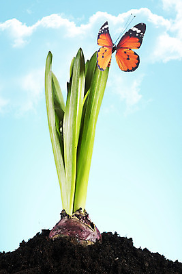 포토 JPG 해외이미지 식물 장갑 컨셉 부츠 통 씨앗 사람없음 정원 검은색 공구 캔 보호 냄비 시작 원예 호스 갈퀴 돌봄 생태학 심기 해외202004 해외포토 잡화 교육 컬러 신발 모션 취미 도구 솥 파일형식 이미지허브