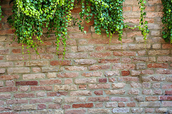 포토 JPG 해외이미지 나무 식물 벽 백그라운드 잎 꽃무늬 패턴 자연 탁자 표면 날씨 추상 벽돌 프레임 사람없음 장식 빨간색 초록색 갈색 정원 수확 거친 타일 질감 먼지 아이비 그런지 옛날 카피스페이스 해외202004 해외포토 꽃 컬러 가구 무늬 농업 공백 생태계 파일형식 이미지허브